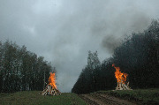 DSC_7095.JPG