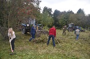 DSC_9196.JPG