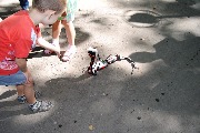 DSC_5344.JPG
