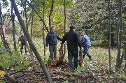 DSC_9089.JPG