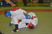 DSC_0939.JPG