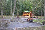 DSC_8964.JPG