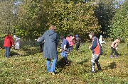 DSC_9226.JPG