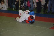 DSC_8475.JPG
