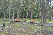 DSC_8962.JPG