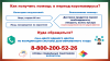 Нуждающиеся граждане могут обратиться за помощью к волонтерам Нуждающиеся граждане могут обратиться за помощью к волонтерам