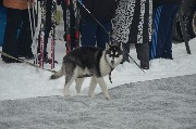 DSC_0200.JPG