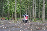 DSC_8997.JPG