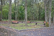 DSC_8957.JPG