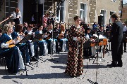 DSC_7903.JPG