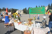 DSC_4939.JPG
