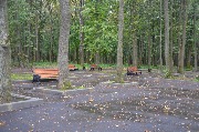 DSC_8965.JPG