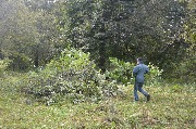 DSC_9145.JPG