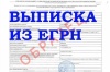 О чем расскажет выписка ЕГРН О чем расскажет выписка ЕГРН