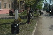 DSC_9089.JPG