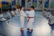 DSC_9208.JPG