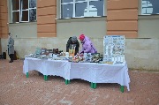 DSC_2155.JPG