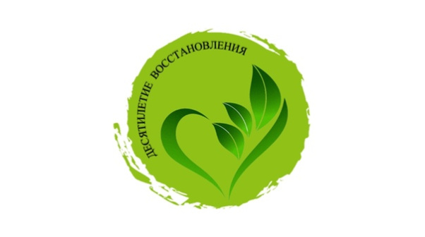 Щекинцев приглашают для участия в экологическом конкурсе 