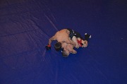 DSC_7705.JPG