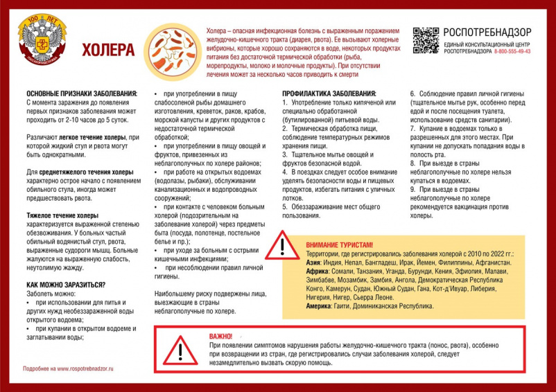 Холера – всегда присутствующая опасность Холера – всегда присутствующая опасность