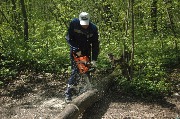 DSC_9244.JPG