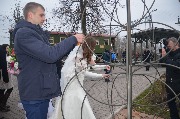 DSC_2241.JPG