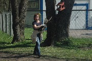 DSC_9205.JPG