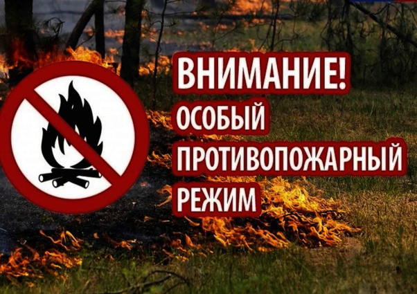 � ��������� ������ ���������� � ����� ���������� ���������� ����, ������������ � ������� �������