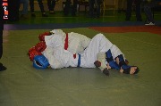 DSC_8497.JPG