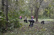 DSC_9161.JPG