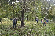 DSC_9129.JPG