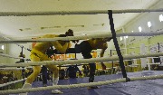 DSC_3690.jpg