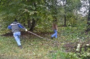 DSC_9176.JPG