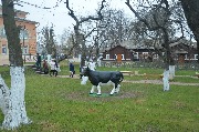 DSC_2173.JPG