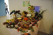 DSC_9085.JPG