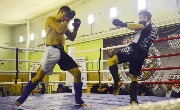 DSC_3717.jpg