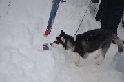 DSC_0171.JPG