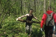 DSC_9180.JPG