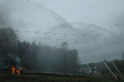 DSC_7131.JPG