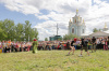 В с.Крапивна состоялся XIX Международный Фестиваль Крапивы В с.Крапивна состоялся XIX Международный Фестиваль Крапивы