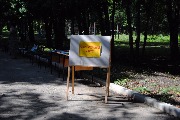 DSC_5300.JPG