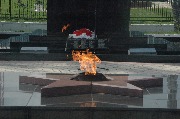 DSC_7868.JPG