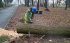 В городе Щекино очищали от снега улицы и устраняли последствия непогоды В городе Щекино очищали от снега улицы и устраняли последствия непогоды